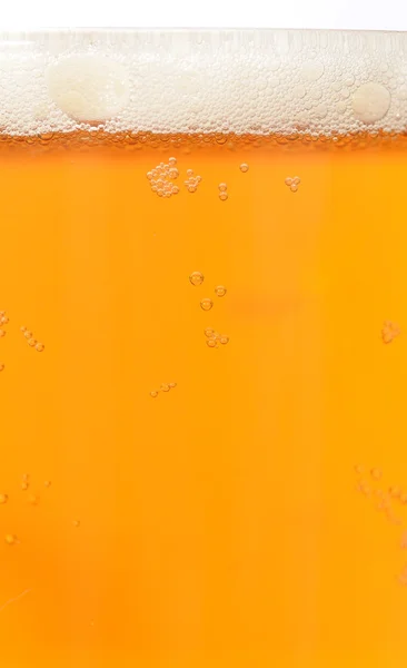 Bier mit Schaum — Stockfoto