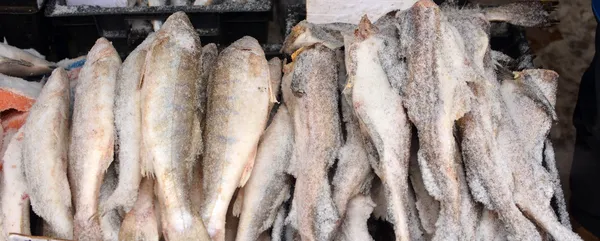 Marché aux poissons — Photo