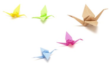 Origami kuşlar