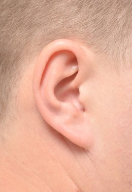 Male ear clipart