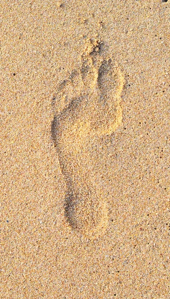 Footprint — Stock Photo, Image