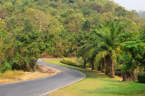 Asphalt road — Stock Photo, Image