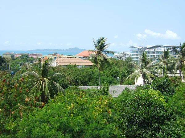 Pattaya. — Fotografia de Stock