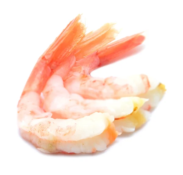 Shrimps — Stock Photo, Image