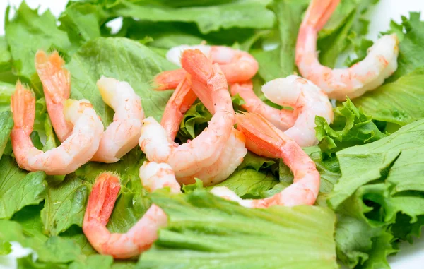 Shrimps — Stock Photo, Image