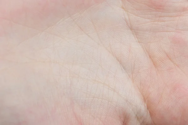 Insan eli — Stok fotoğraf