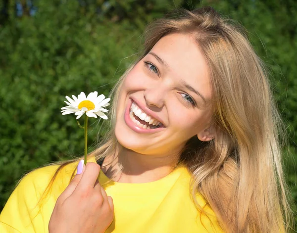 Zomer — Stockfoto