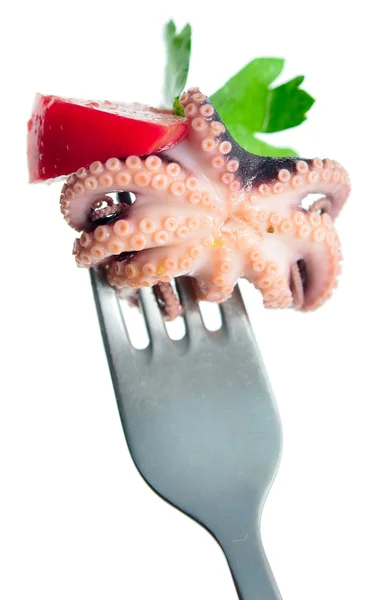 Octopus on a fork — Stock Photo, Image