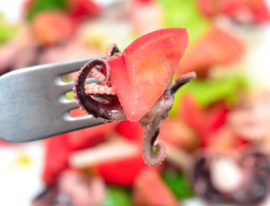 ahtapot salatası