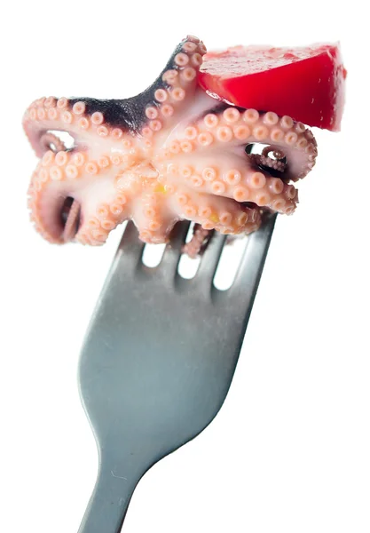 Octopus on a fork — Stock Photo, Image