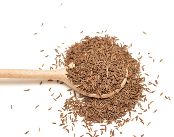 Caraway — Stock Photo, Image