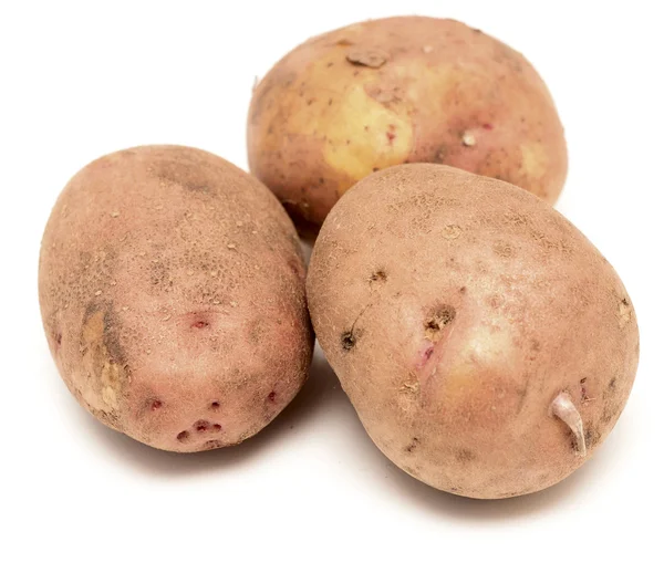 Surowego ziemniaka — Zdjęcie stockowe