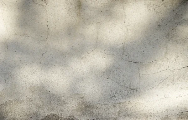 Cement wall — Stock Photo, Image
