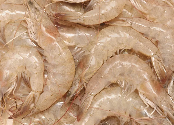 Raw shrimps — Stock Photo, Image