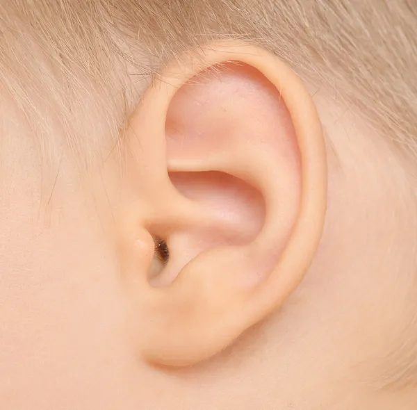 Baby ear — Stock Photo, Image