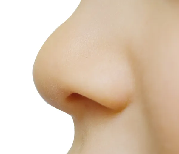 Baby nose — Stock Photo, Image