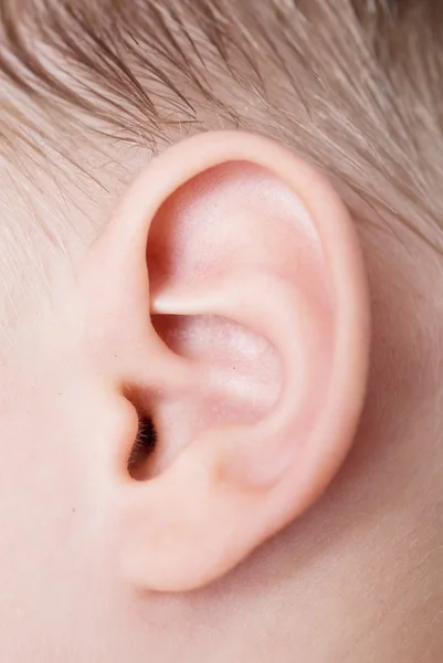 Stock image human ear