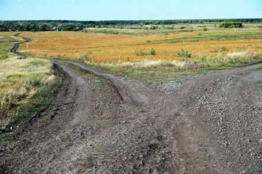 Çatal yollu manzara