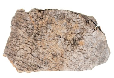  eski ahşap beyaz zemin üzerine