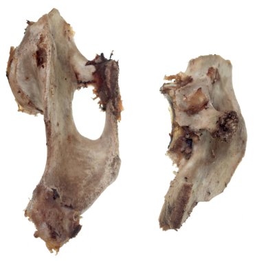 Kemikler beyaz arkaplanda izole