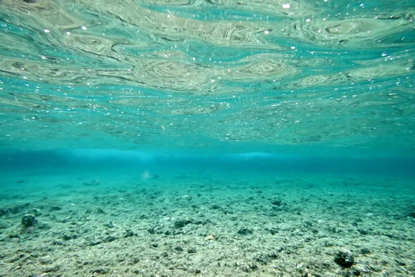 Красивый Подводный Пейзаж Природный Фон — стоковое фото