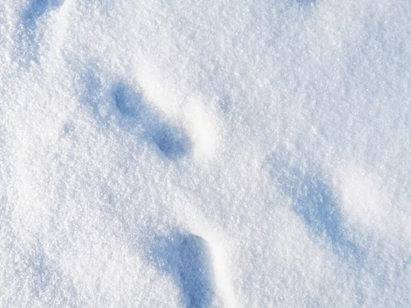 Pegadas Neve Branca Conceito Inverno — Fotografia de Stock