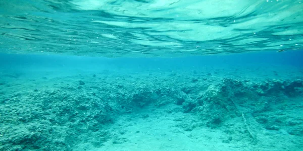 Schöne Unterwasserlandschaft Natürlicher Hintergrund — Stockfoto