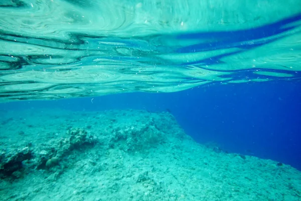 Красивый Подводный Фон Природный Морской Пейзаж — стоковое фото