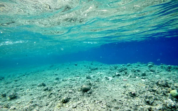 Красивый Подводный Фон Природный Морской Пейзаж — стоковое фото