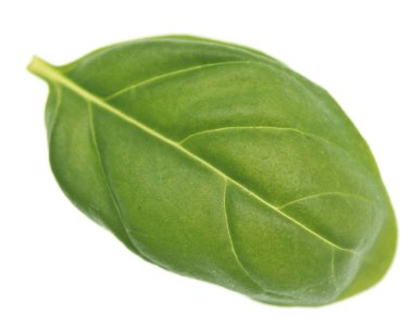 Beyaz arka plan üzerinde izole fesleğen yaprağı