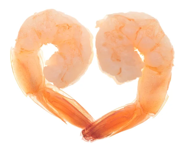 Shrimp Heart Isolated White Background — Stock Photo, Image