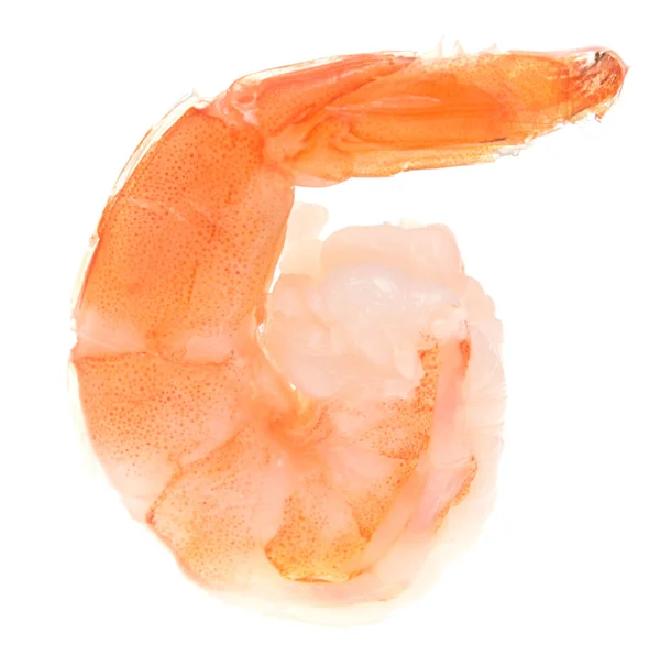Shrimp Isolated White Background — Stock Photo, Image