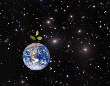 dünyada barış ve world.element besleyen bir sembolü olarak ağaç
