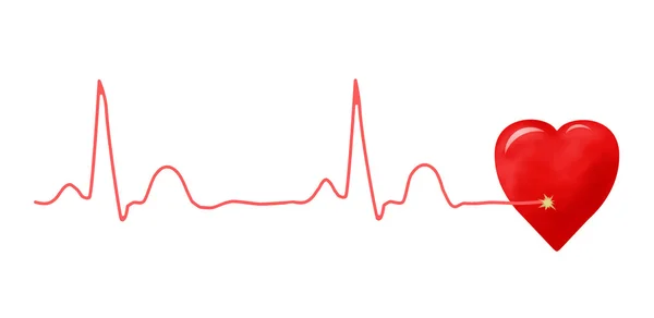 EKG graf a srdce — Stock fotografie