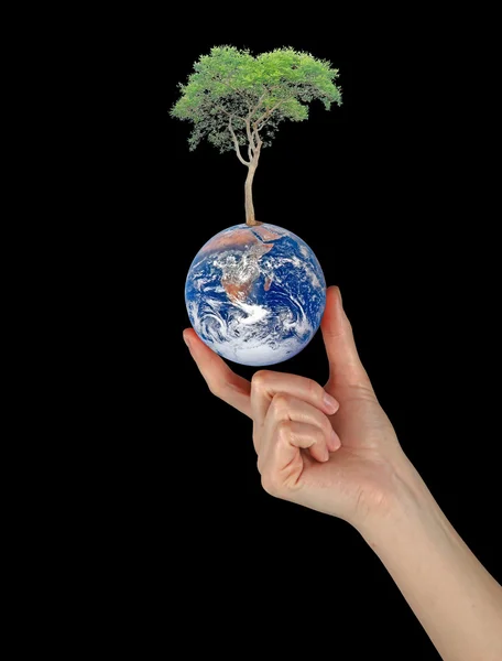 Planeta Tierra como símbolo de la conservación de la naturaleza. — Foto de Stock