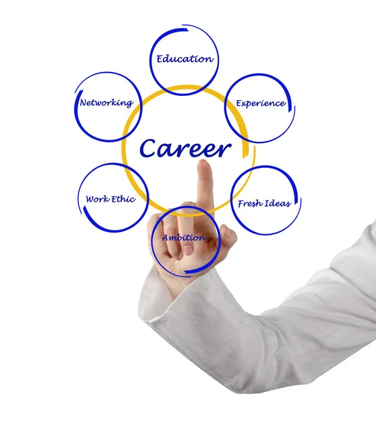 Diagram of career success — Stock Photo, Image