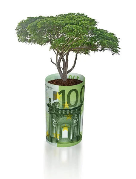Árbol que crece de la factura del euro — Foto de Stock