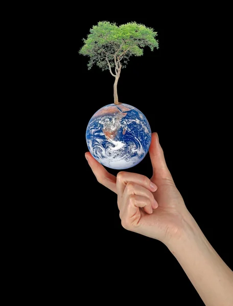 Planet earth as symbol of nature conservation.Elements of this i — Stock Photo, Image