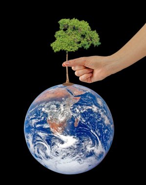 Bu resim furnis peace.elements bir sembolü olarak yeryüzünde ağaç