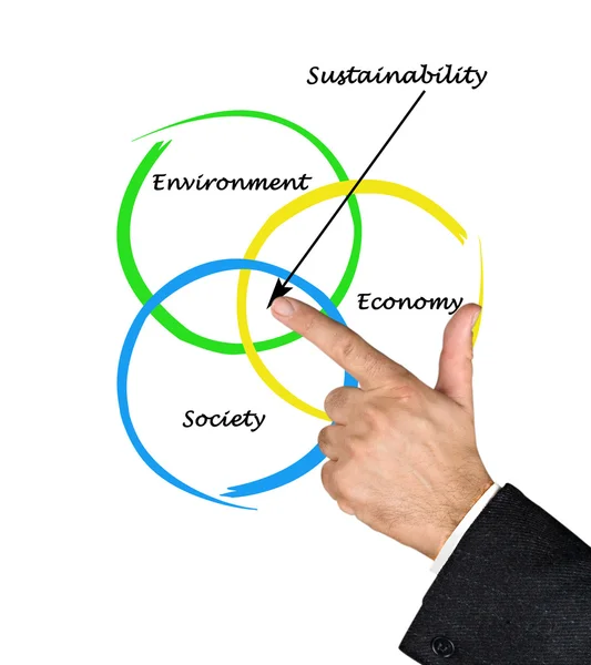 Presentation of diagram of sustainability — Stock Photo, Image