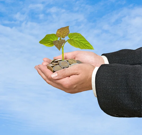 Investing to green business — Stock Photo, Image