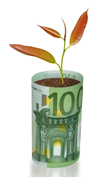 Sapling de plus en plus de billets en euros — Photo