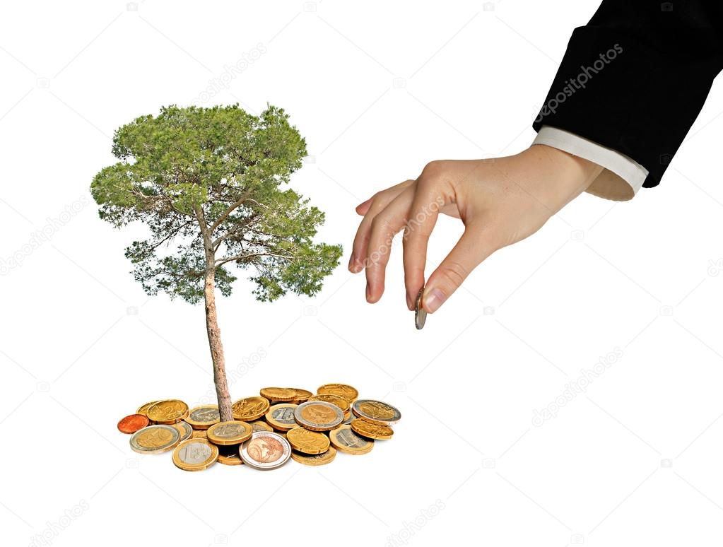 Tree growng from pile of coins