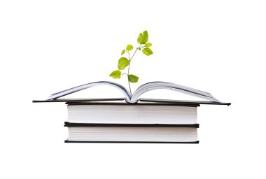 Açık kitap büyüyen ağacı