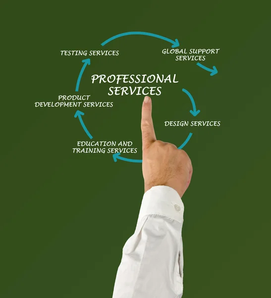 Diagram of professional services — Stock Photo, Image