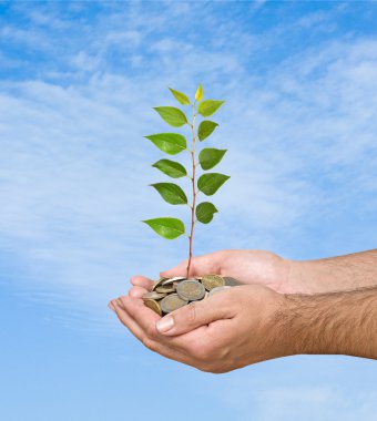 sikke yığını üzerinden dar ağacı