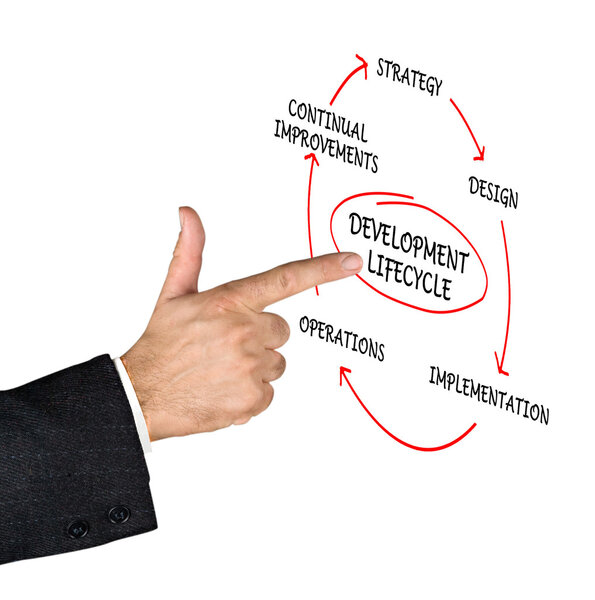 Презентация жизненного цикла разработки
