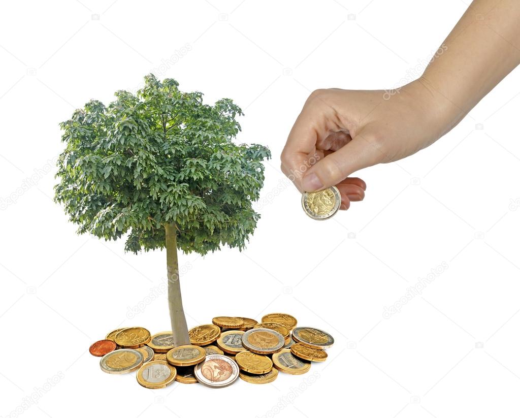 Tree growng from pile of coins