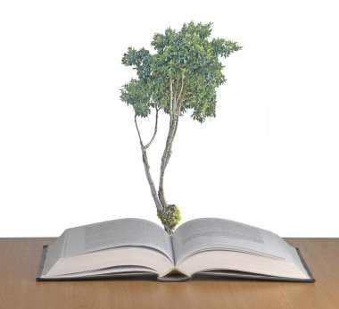 Açık kitap büyüyen ağacı