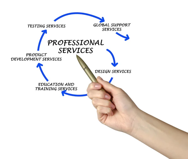 Diagramme des services professionnels — Photo